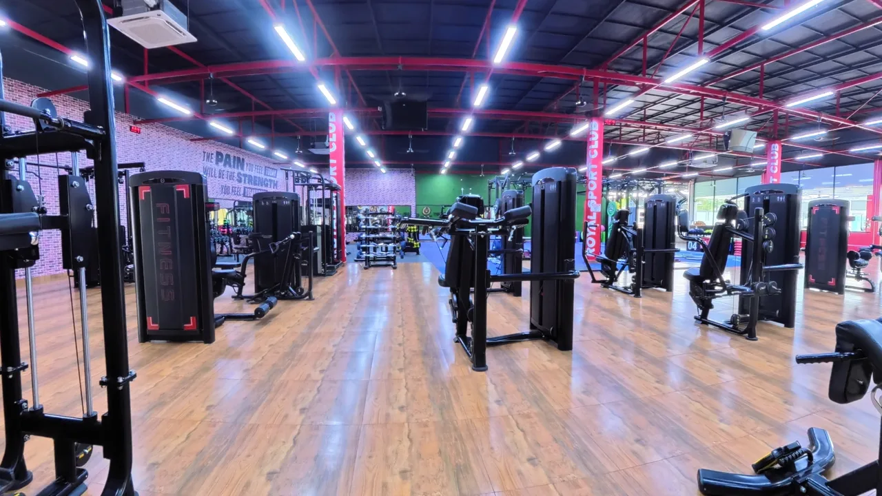 Commercial strength equipment at Royal Sports Club
